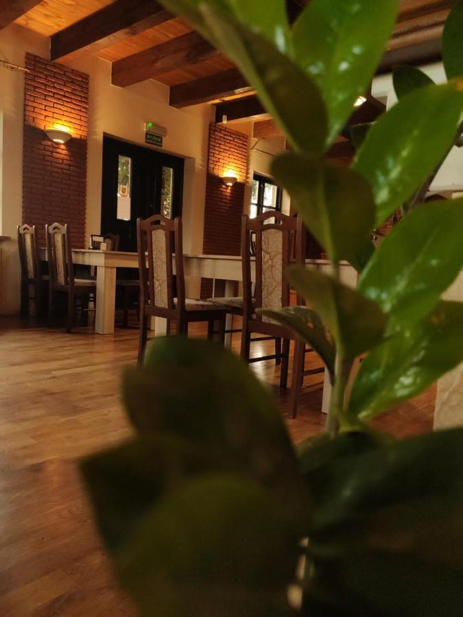 Dobry Klimat Uniejów Extérieur photo